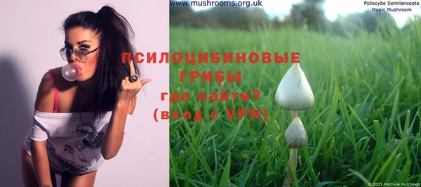 спиды Абинск