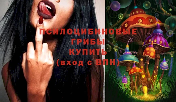 наркотики Новозыбков
