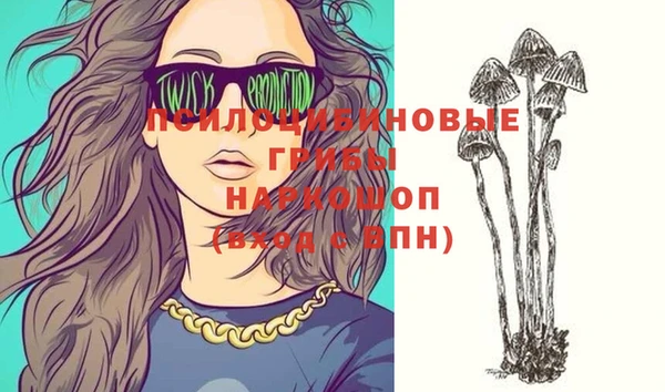ПСИЛОЦИБИНОВЫЕ ГРИБЫ Абдулино