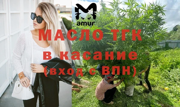 дживик Абаза