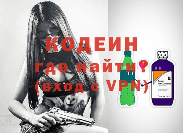 дживик Абаза