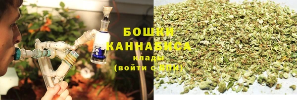 дживик Абаза