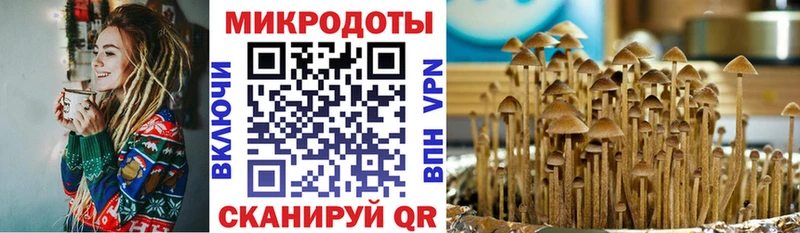 блэк спрут ТОР  Суоярви  Галлюциногенные грибы MAGIC MUSHROOMS 